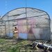 IALOMITA - SE VINDE TEREN 3100 MP - SAT ROSIORI