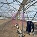 IALOMITA - SE VINDE TEREN 3100 MP - SAT ROSIORI